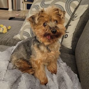 Meet your Posher, Kirsten